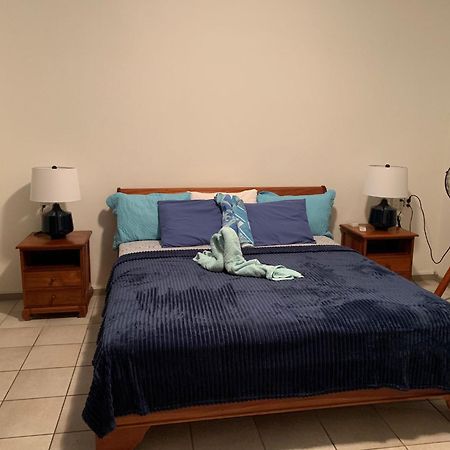Royal Palm Resort Curacao Geweldig Zeezicht يلمستاد المظهر الخارجي الصورة